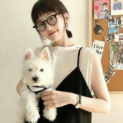 营救长颈鹿之漫漫归途